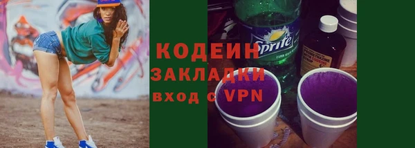 индика Вязники